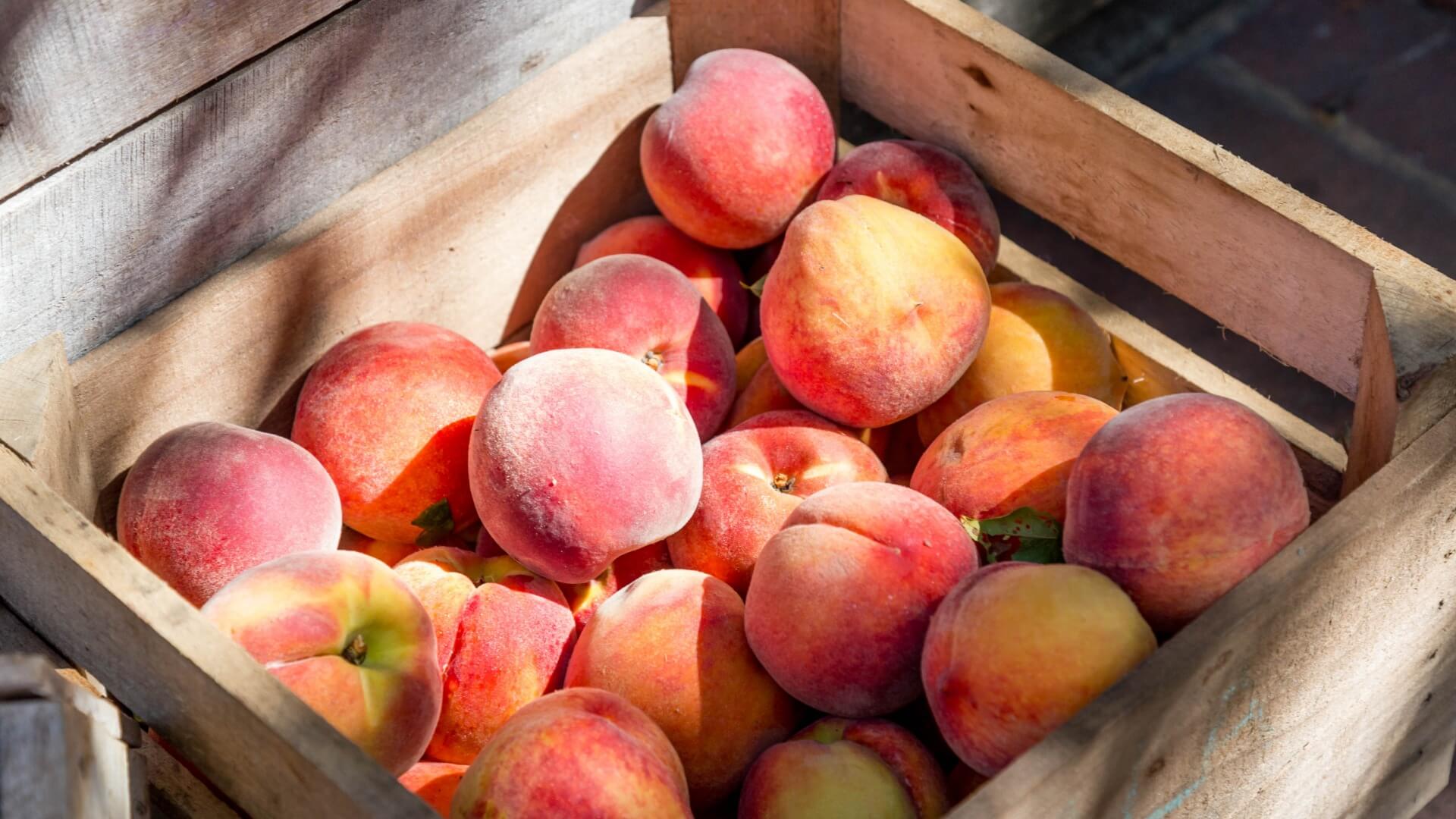 Peches Brugnons Ou Nectarines C Es Des 4 6 Mois Programme Malin