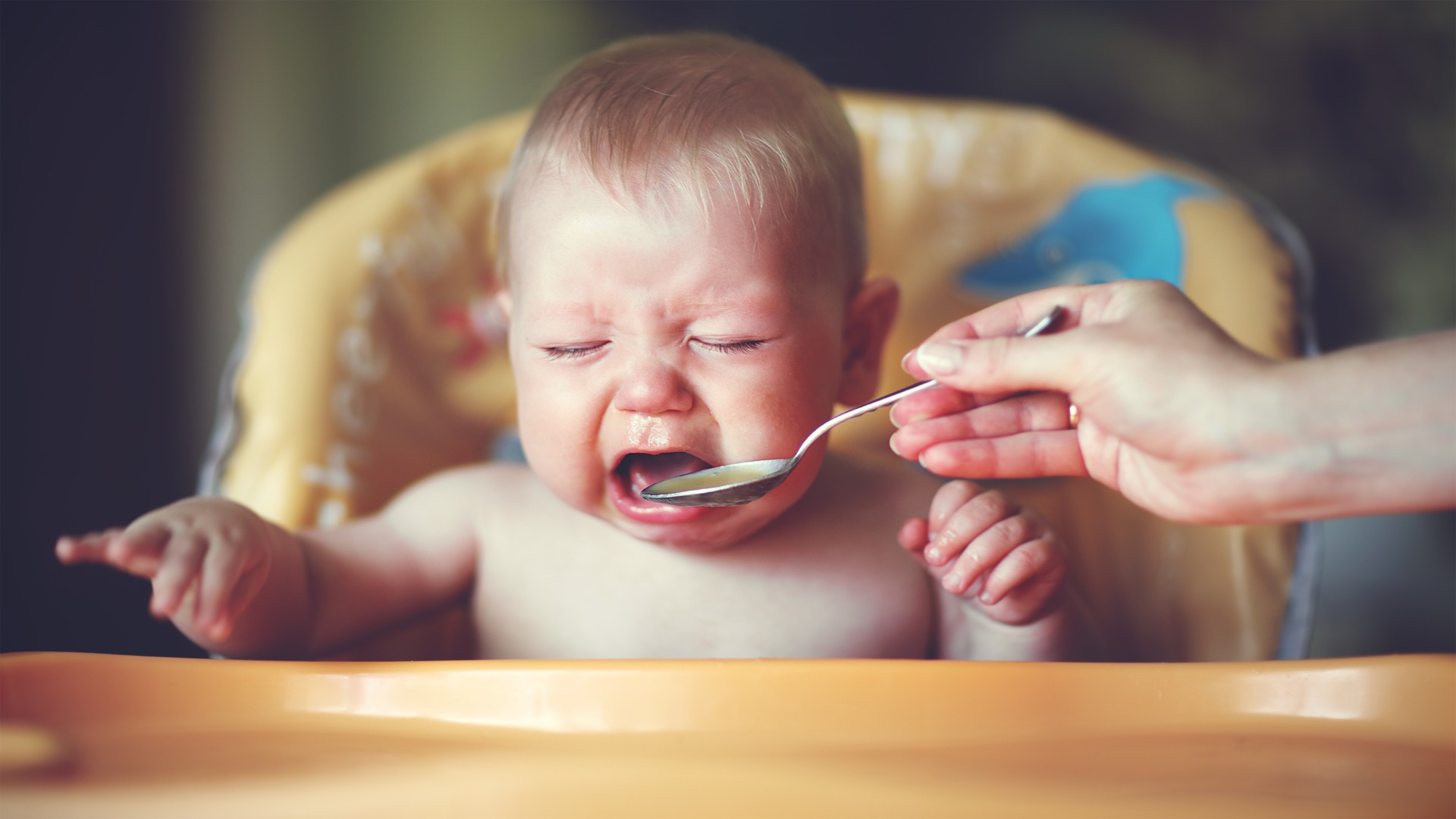 Bébé Mange Bien À La Garderie Mais Moins À La Maison - Programme Malin